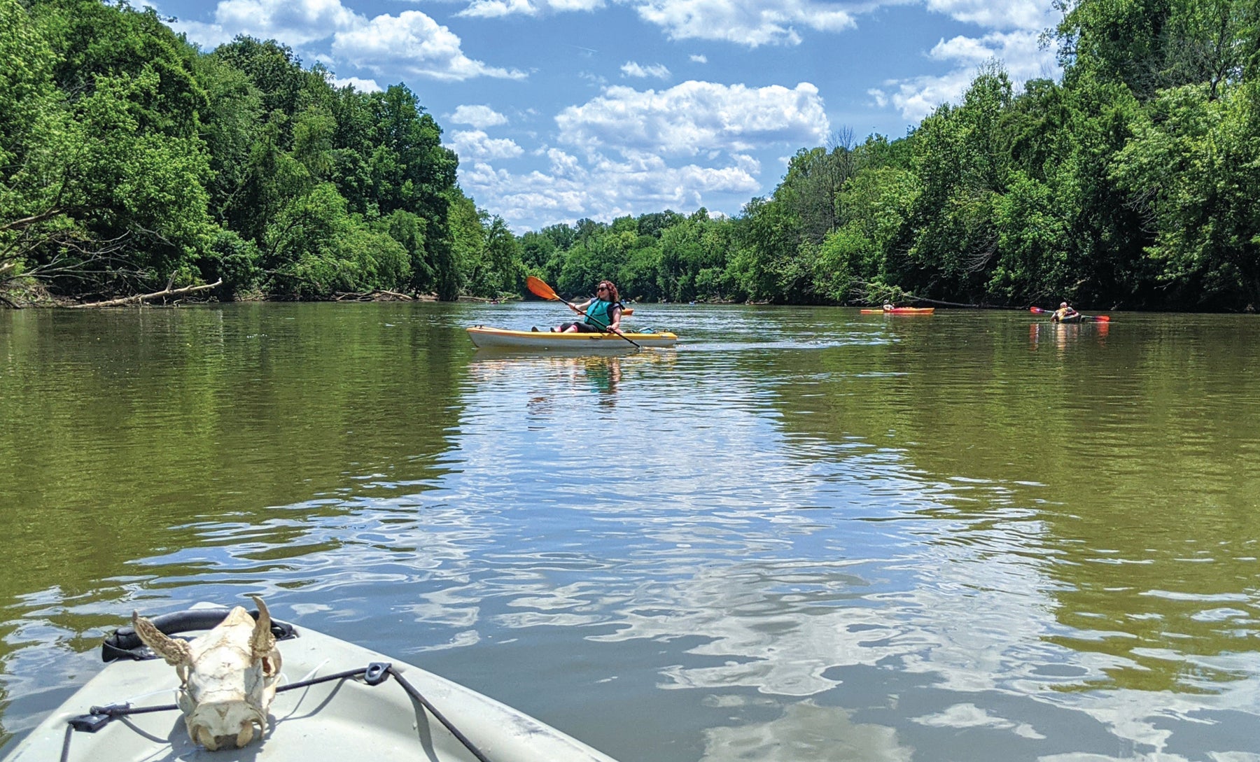 What a trip: Kayak camping excursion along Yadkin a success - Davie County Enterprise Record