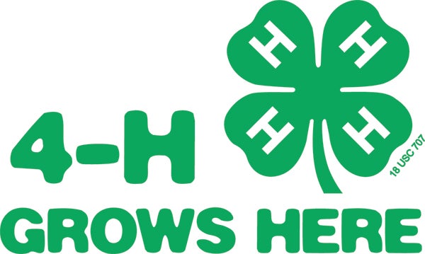 Bullhole Bound: New 4H club for all forming in Cooleemee - Davie County  Enterprise Record | Davie County Enterprise Record